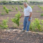 campo