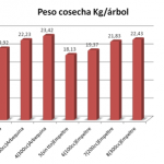 grafica triamin