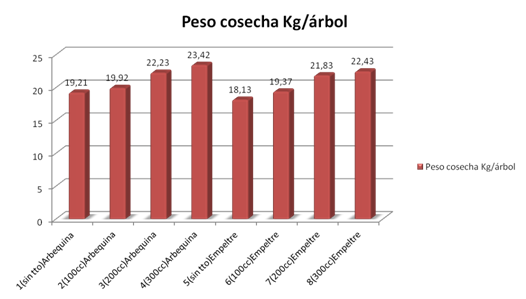 grafica triamin