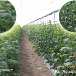 aquapower