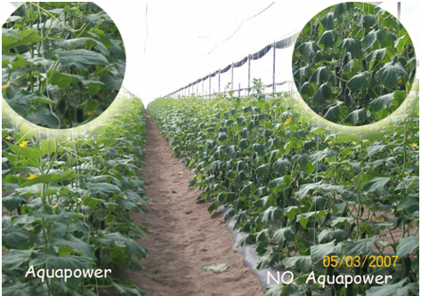 aquapower
