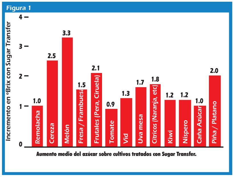 grafica sugar