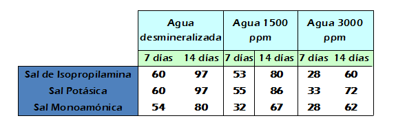 Figura 4 Noticia Acisol