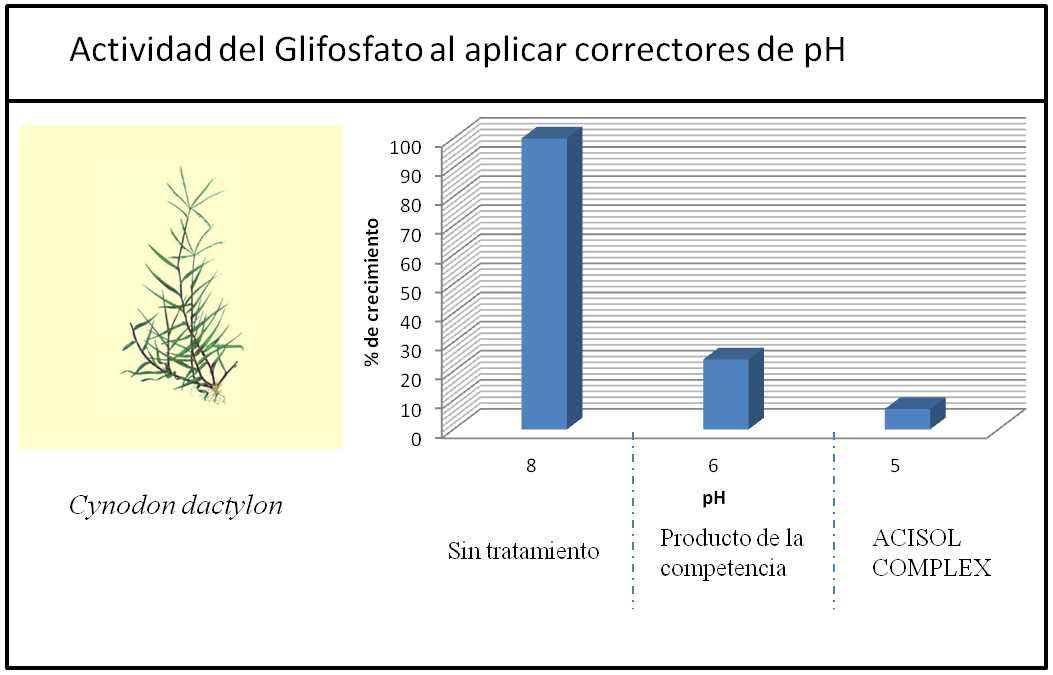 Figura 5 Noticia Acisol