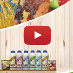 Blog video corporativo