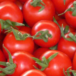 TOMATES