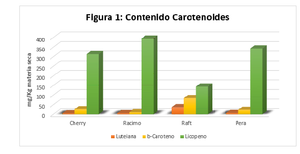 figura 1