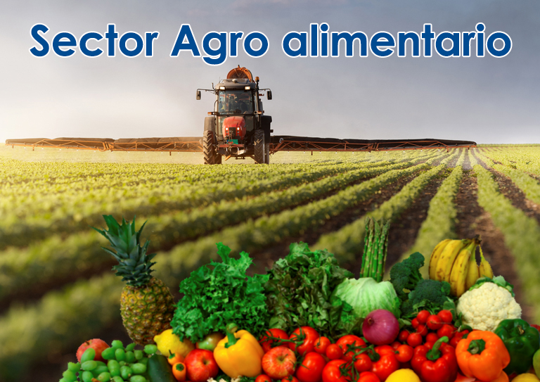  Sector Agro Alimentario 