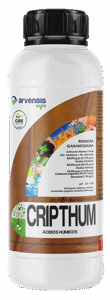 enraizantes