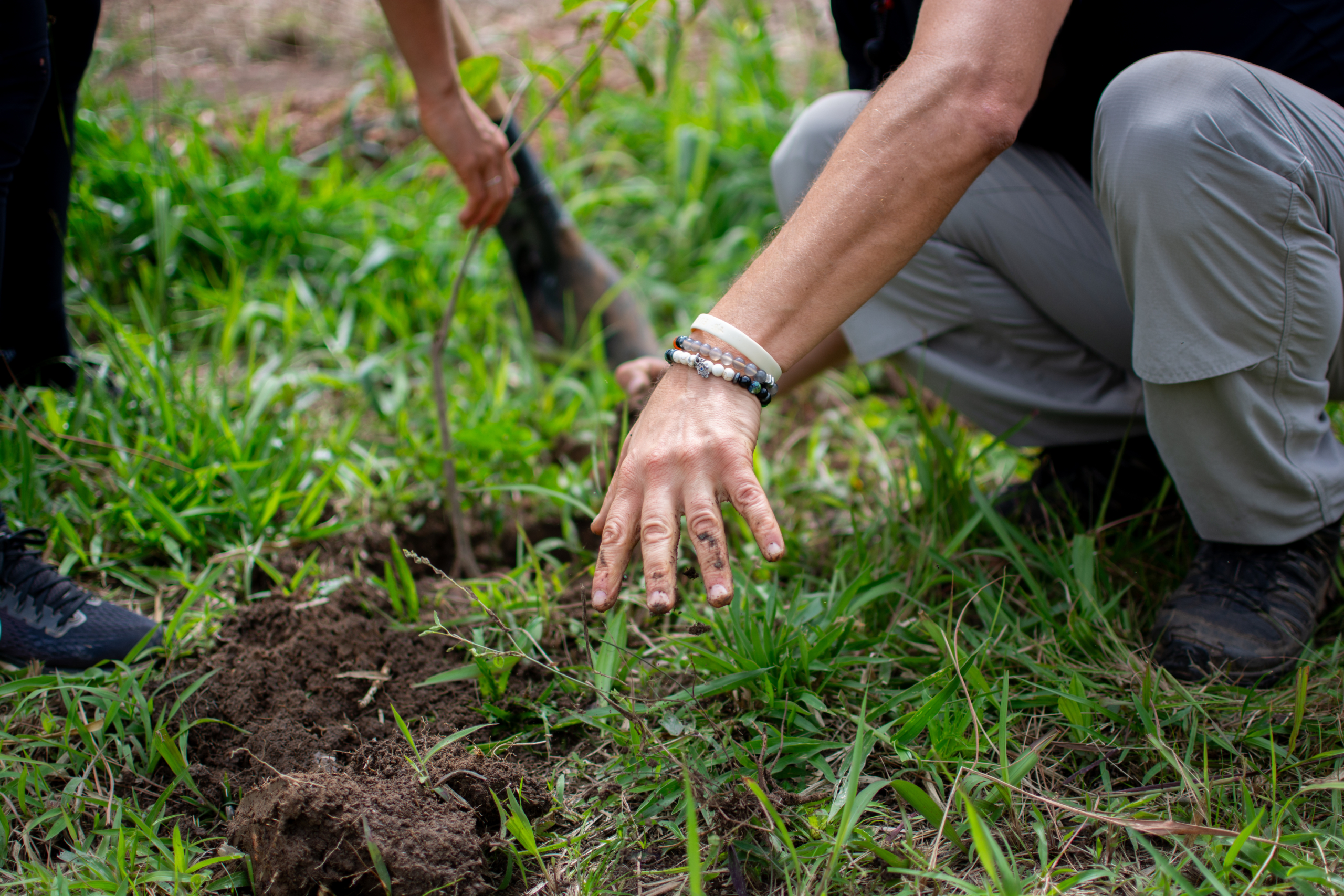 Voluntariado preparando a terra para o plantio de uma muda de árvore para o reflorestamento de uma área devastada. Imagem de sustentabilidade e ativismo ecológico.