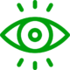vision