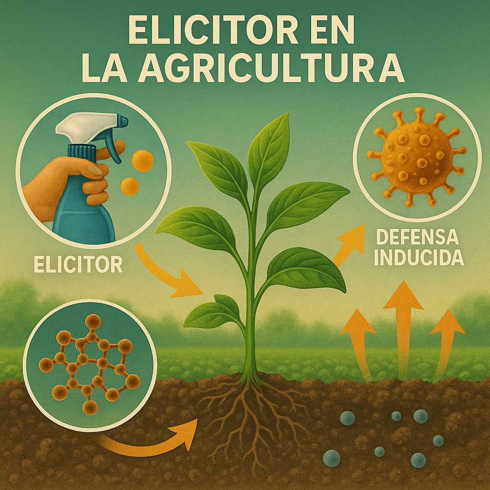 Elictor