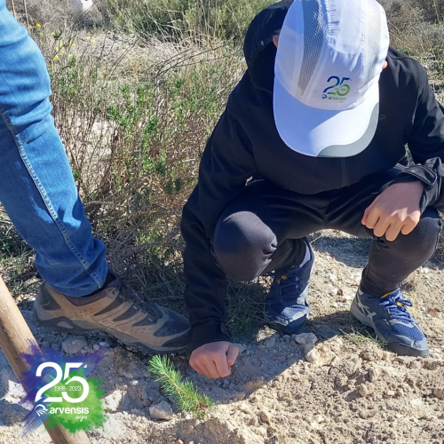 Reforestación 2023
